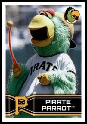 246 Pirate Parrot